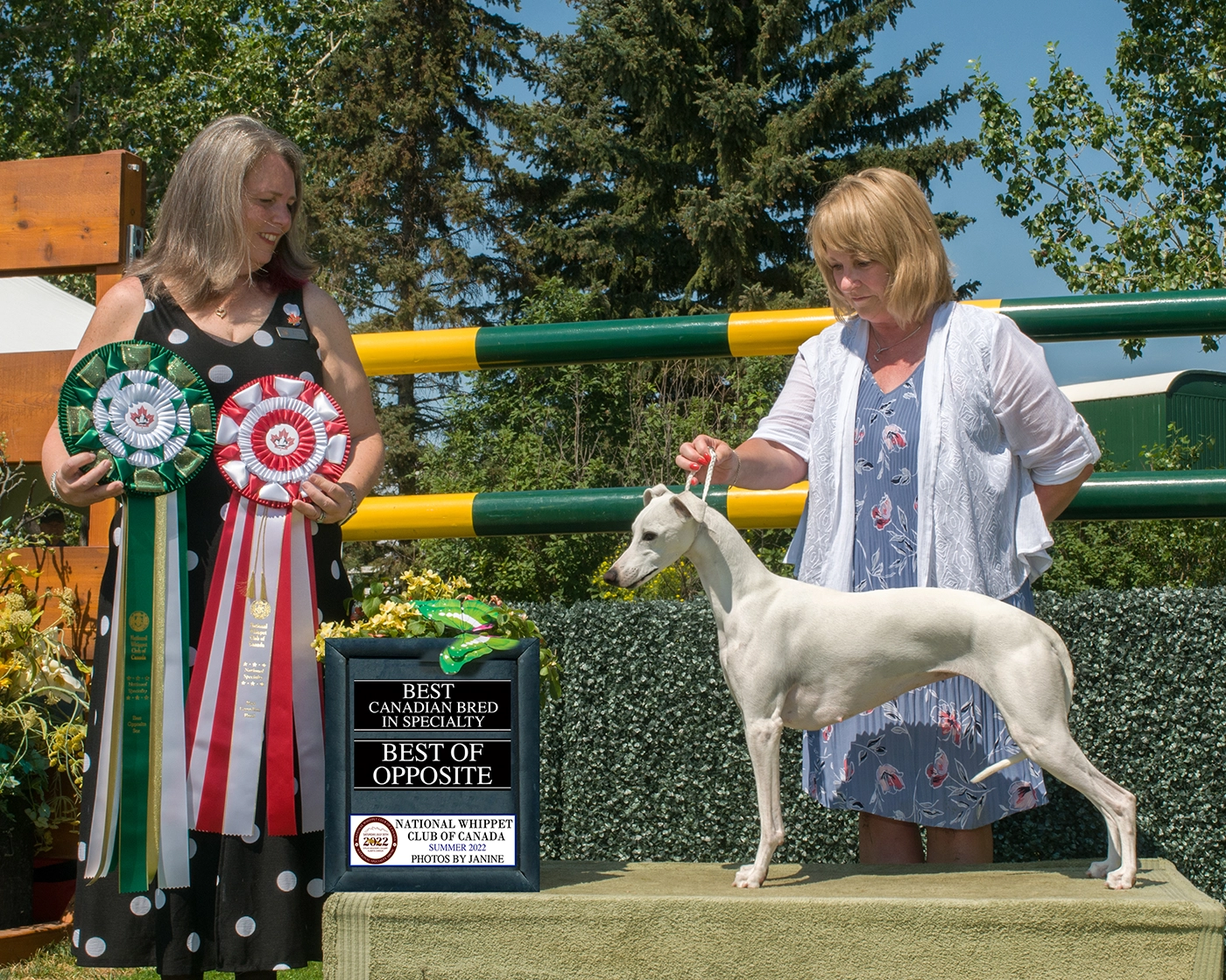 Photo of Opal winning BOS at the National Specialty